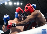 开云在线直播-拳击男子轻重量级决赛古巴拳手夺得金牌