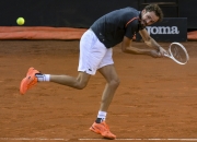 开云官网-世界网球队爆冷意大利网球队，梅德韦杰夫统治全场的简单介绍