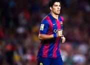 开云在线直播-从广东到俄城，跨越半球的篮球启示录