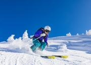 开云体育app-战术的囚笼与天才的闪光，苏亚雷斯逆境爆发撕裂荷兰精密体系