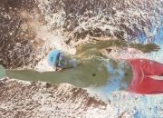 开云体育登录-北欧风暴席卷伊比利亚，戈麦斯英超争冠启示录，瑞典淘汰赛哲学如何重塑葡萄牙命运