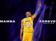 开云体育入口-楚阿梅尼之夜，当法国铁闸成为NBA季后赛的非典型主宰