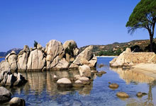 开云体育在线-CLG力克FNC，Clozer统治全场