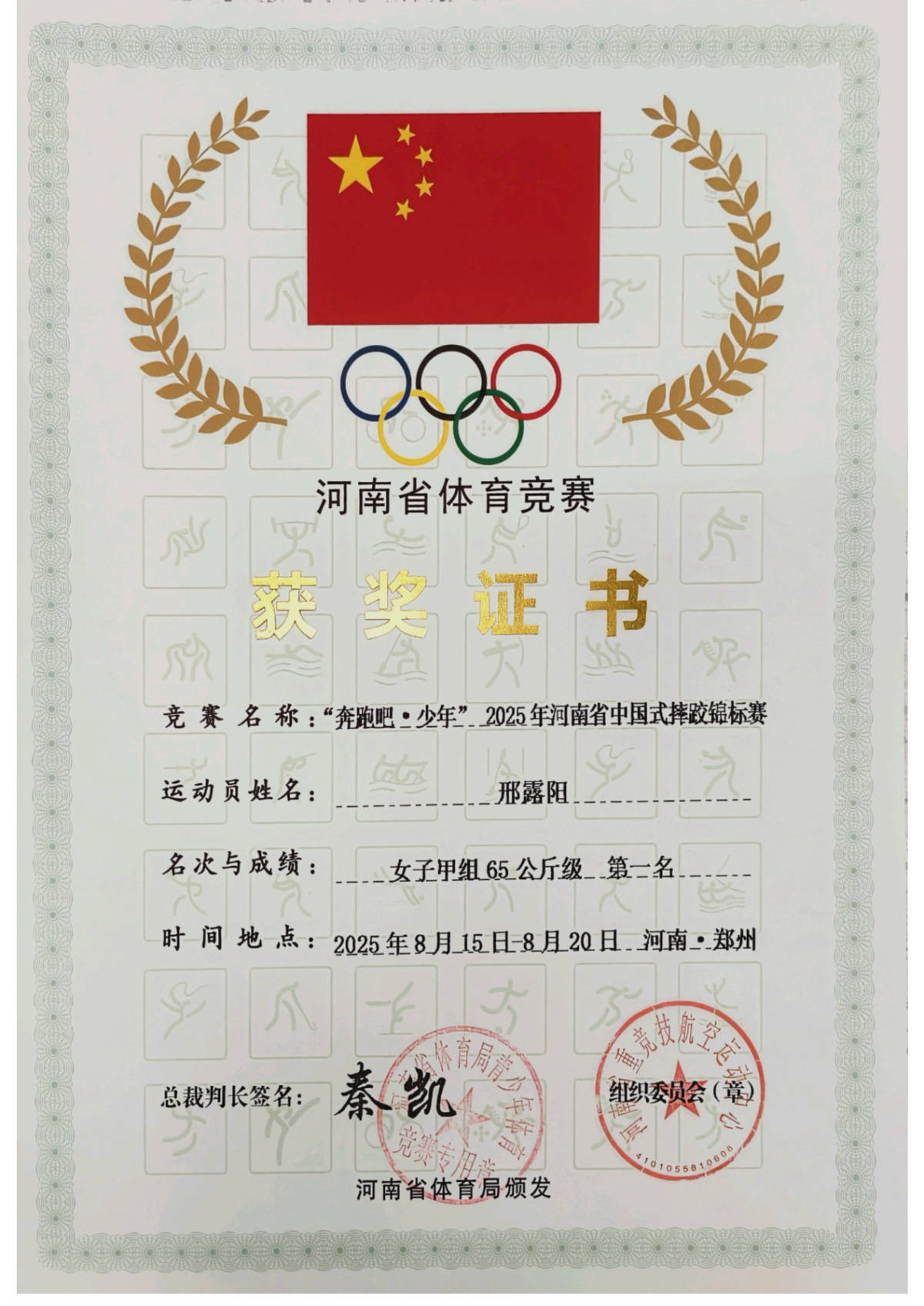 柔道选手实现夺金梦想，创造历史佳绩的简单介绍