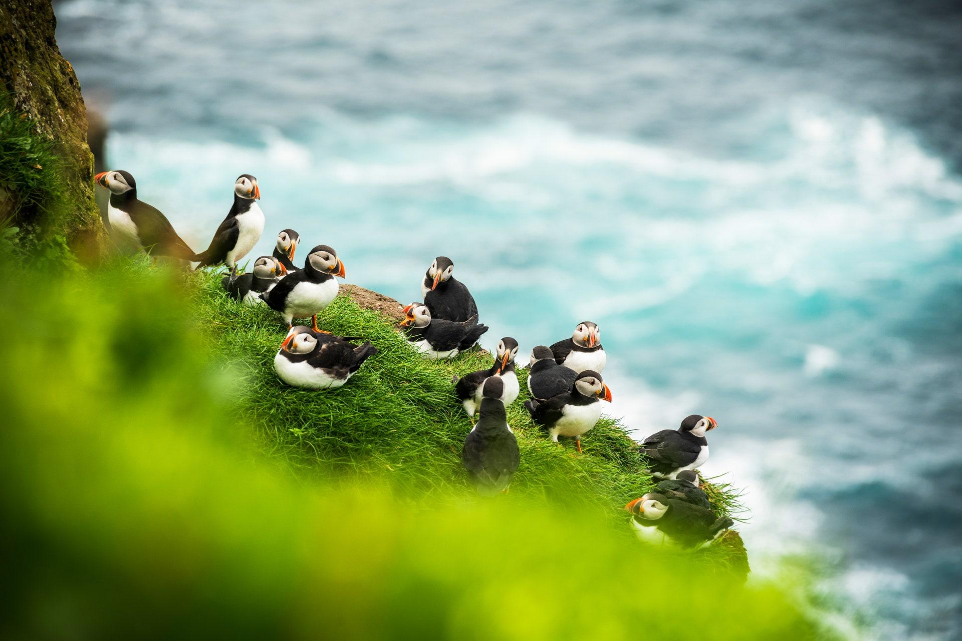 包含冰岛逆转战胜法罗群岛，保加利亚胜出，瑞士持续领跑的词条