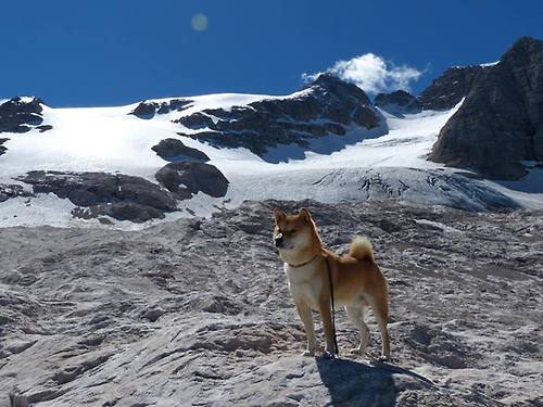 北京队终结骑士,布克成为关键先生