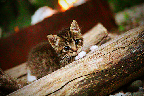 迪亚斯爆发,澳大利亚压哨击败英格兰,南半球足球的逆袭之夜