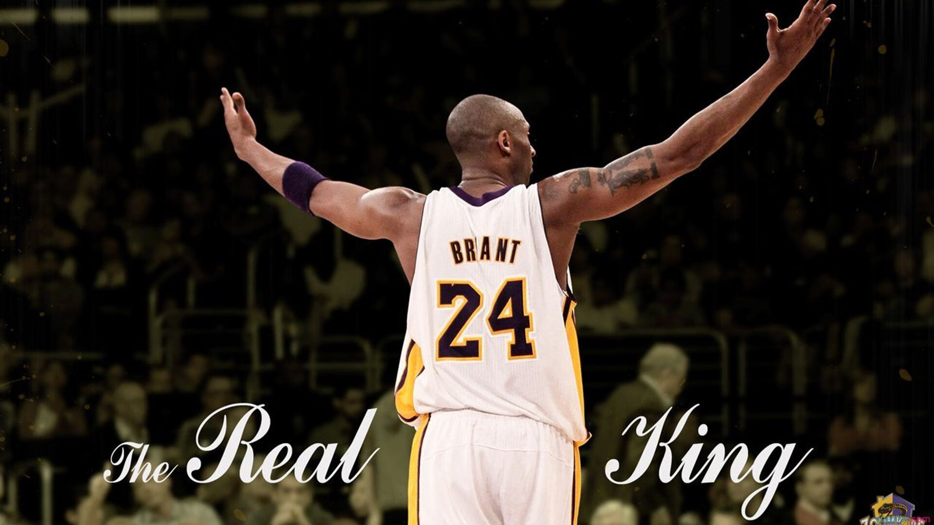 莫兰特惊艳四座难救主，骑士绝境逆袭终结凯尔特人连胜神话